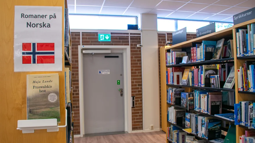 På en av bibliotekets bokhyllor står en skylt med texten "Romaner på Norska" och en norsk flagga.