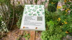 En liten skylt på en trästolpe. Den står i en blommande rabatt. På skylten finns bland annat en QR-kod och texten: "Lyssna på en dikt från Litteraturbanken".