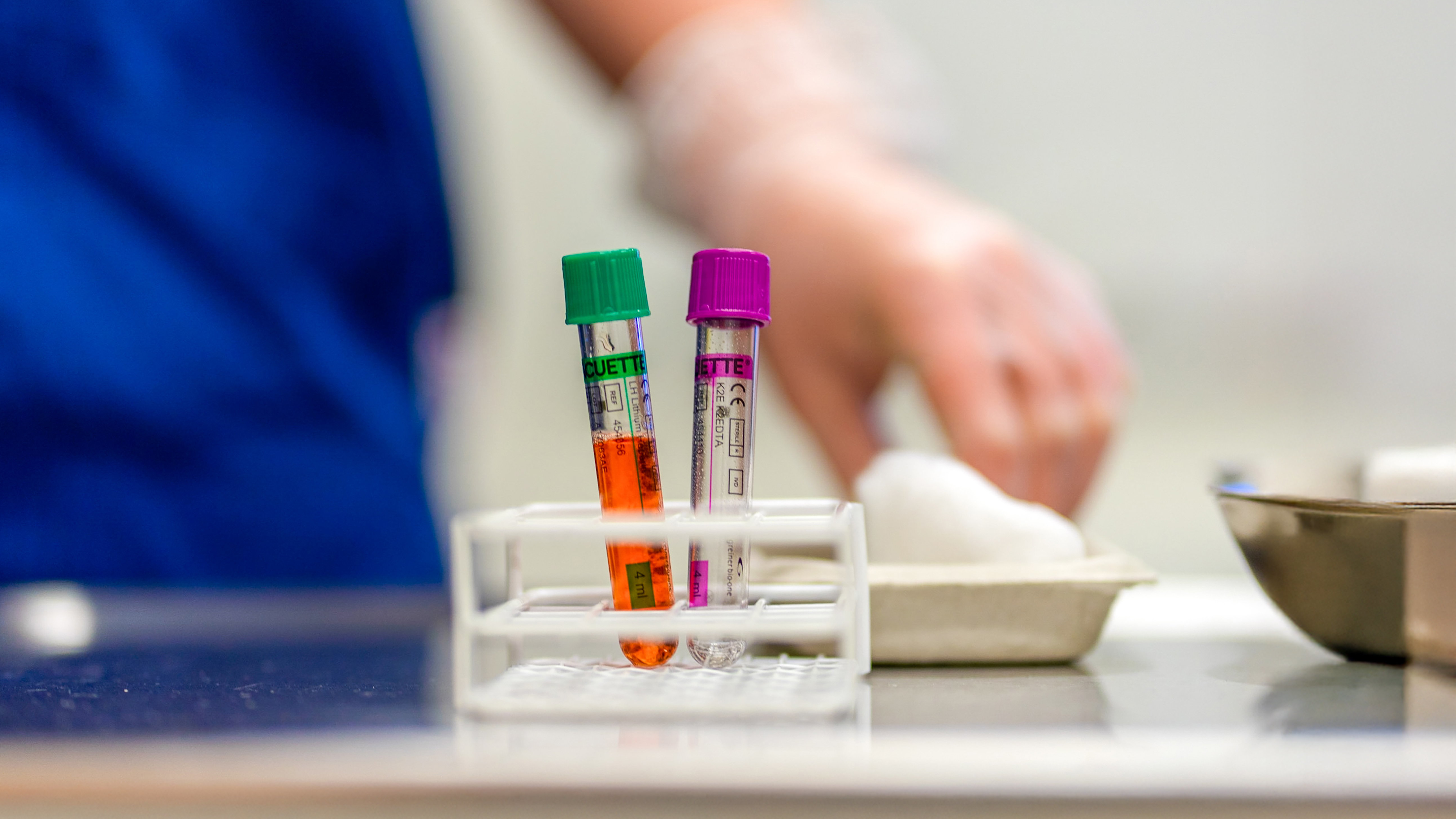 Två provrör i ett provrörsställ med bomull och metallskål bredvid