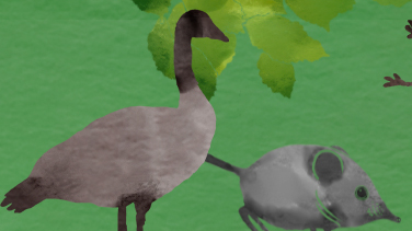 Ingen beskrivning tillgänglig