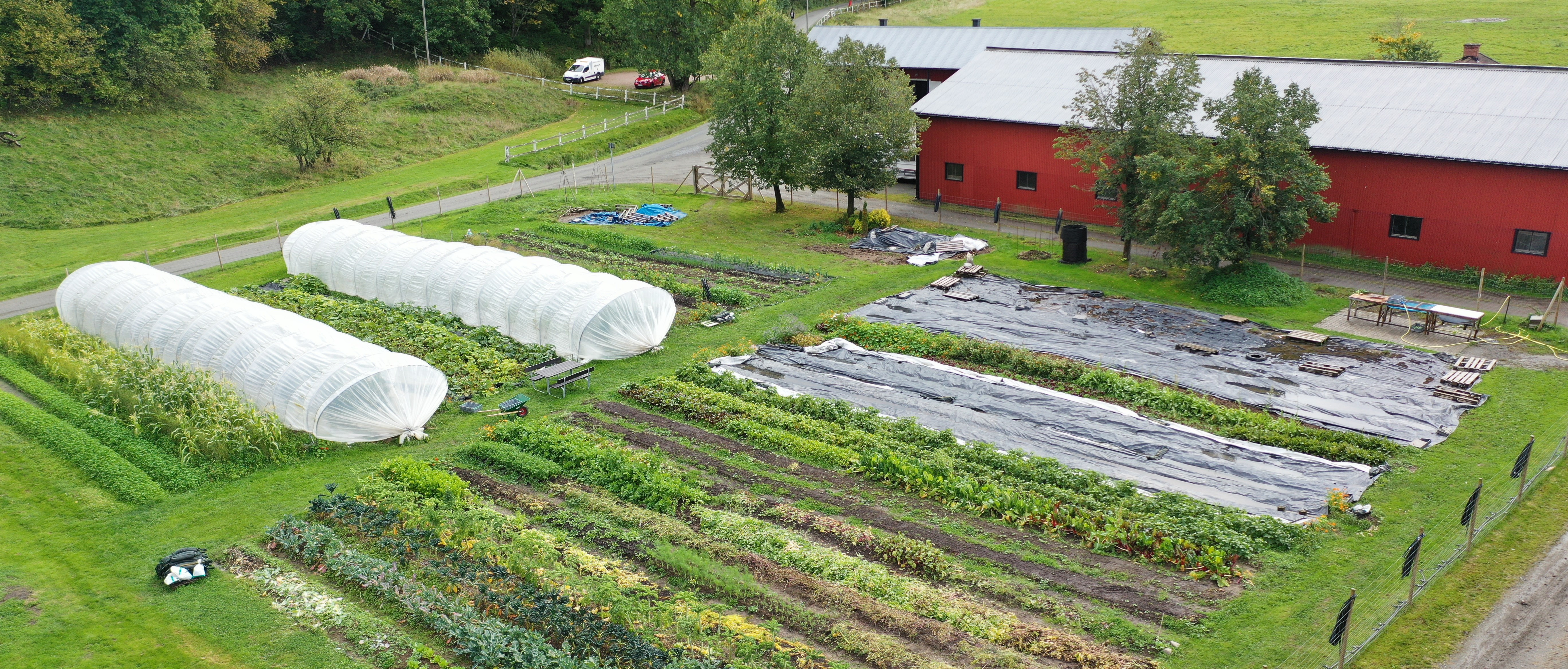 Drönarbild över småskalig grönsaksodling