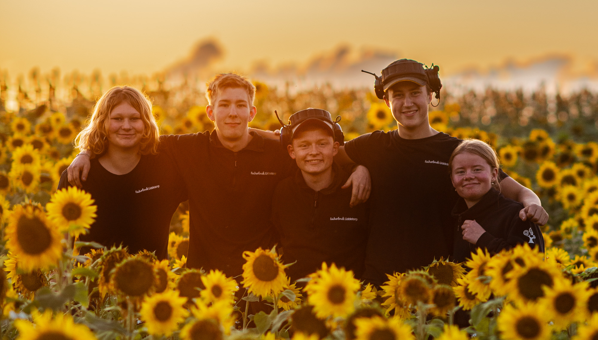 Fem ungdomar står i solrosfält