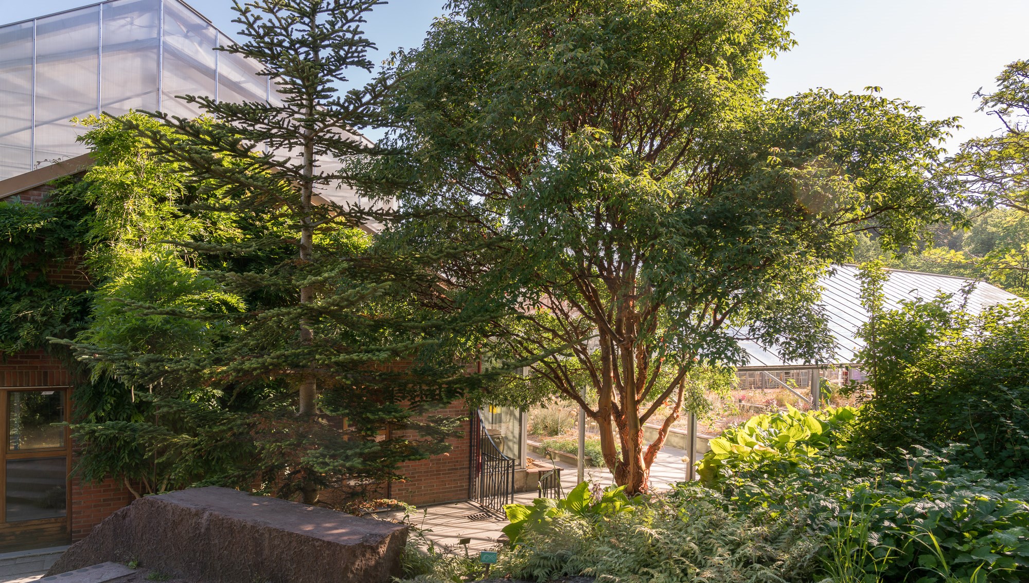 Ingen beskrivning tillgänglig