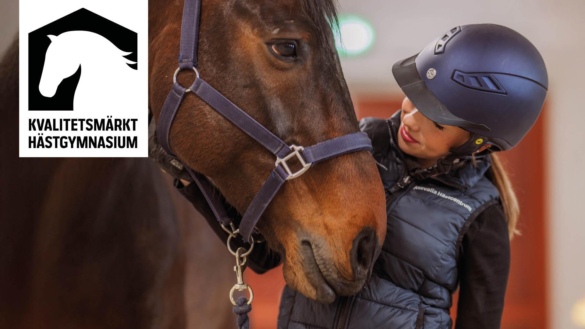 Elev med ridhjälm står i närbild bredvid häst, samt logga för Kvalitetsmärkt hästgymnasium