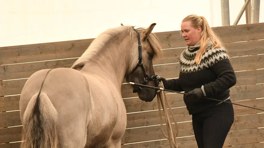 Porträtt på ridlärare Malin Jansson som jobbar med en islandshäst