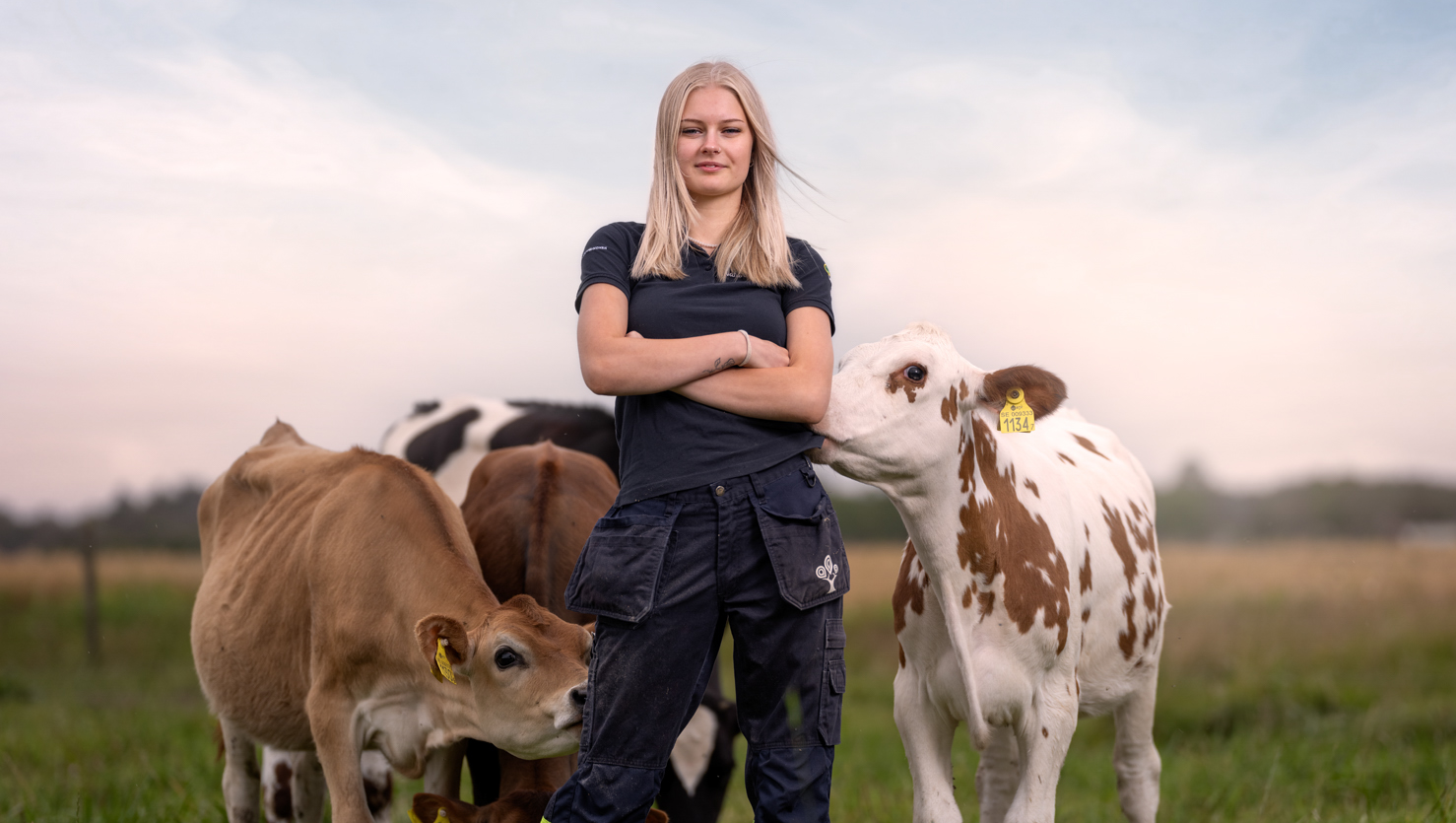 Kvinnlig elev med arbetskläder står bland kor i grön hage